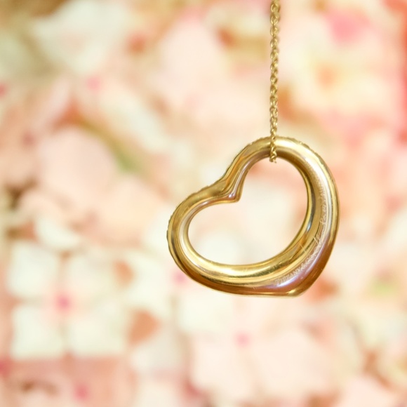 Tiffany & Co Elsa Peretti 2 Carat Diamond Necklace - Picture 14 of 14